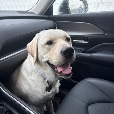 stephensonjh's profile picture. 