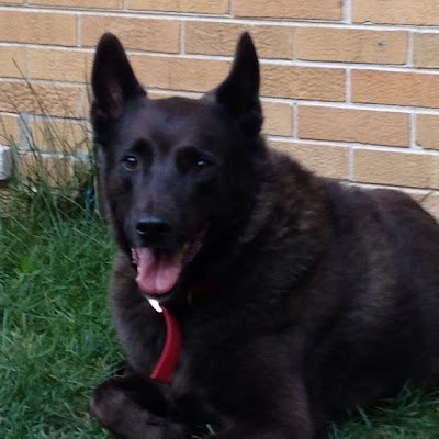 bublitz97661's profile picture. 