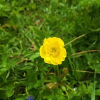 sabahattin polat (@sabahattinpola2) Twitter profile photo