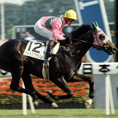 日本ダービー - Search / X