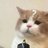 muffinnann's profile image