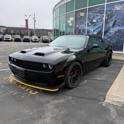 Adam16455549305's profile picture. crypto. gym fanatic. lifestyle. trading.