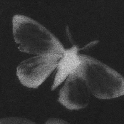 bleuxugar's profile picture. under maintenance.