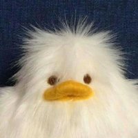 하지 (@harzi_1) 's Twitter Profile Photo