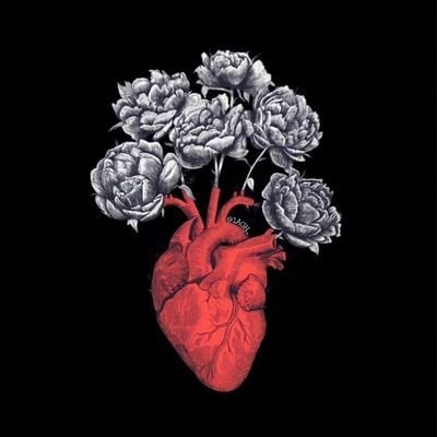 mostafahas671l's profile picture. 