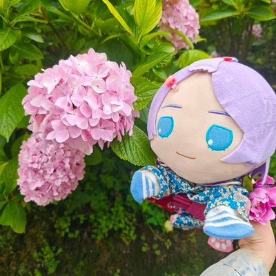 尼馬戈壁ぬいもち友募集中さんのプロフィール画像