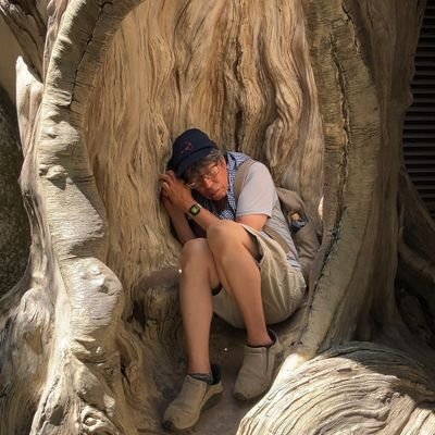 山本ムーグ moOog yamamOTO (@VVS0T) / X