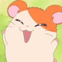 へけ (@004c97_nb) 's Twitter Profile Photo