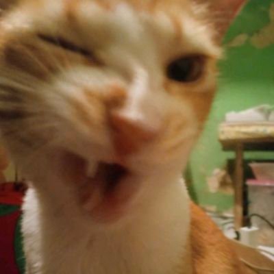 bef35348918's profile picture. อกหักค้าบ โทรมาทำไมค้าบ