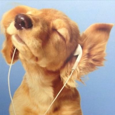 dxtrzin's profile picture. never promise something that you will never do