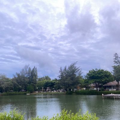 KTang1435394's profile picture. 