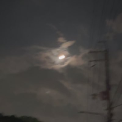 Marczさんのプロフィール画像