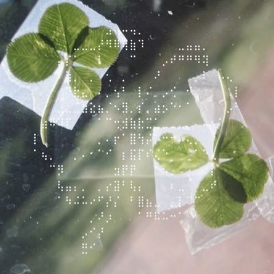 07my28's profile picture. しぶと名前が同じ方々に感謝 見る専20↑