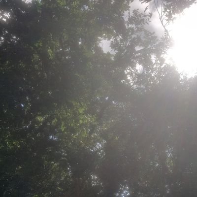 4Randyh's profile picture. 