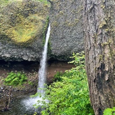 CHSHoopsquad's profile picture. Good luck.  Will share insights.