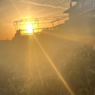 78Sun78's profile picture. 