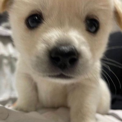 𝐁𝐎𝐁. ตอบช้า🔕さんのプロフィール画像