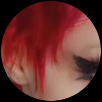 plipsyflipsy's profile picture. 🇮🇸 I teach ballet and only 3/4 of my followers are bots! Sous sus!🩰💕