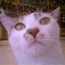 Alex IP - @A1exIP - Twitter