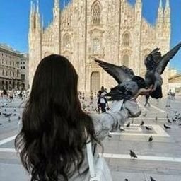 Yswelo9695795's profile picture. 