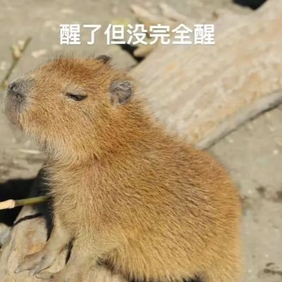 cocking_up's profile picture. CV for Health/INFP/PHD