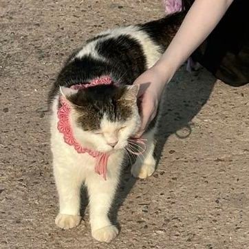 snowedrops's profile picture. Just as the snow melts when it falls, moments dissolve into words. kritik dan saran: https://t.co/wdD9w6H2d0