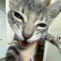 clinical (@sparkleofed) 's Twitter Profile