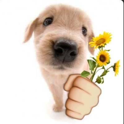 BigDMuju's profile picture. sou trouxa e feliz :)