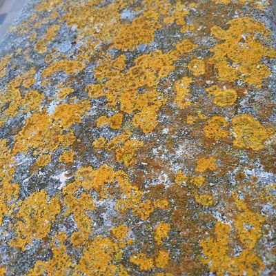 NAiss25300's profile picture. writter