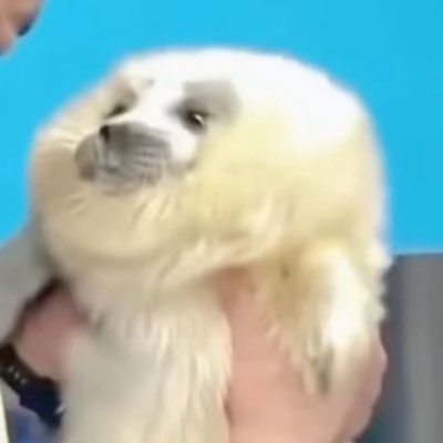 สู่ย่อมさんのプロフィール画像