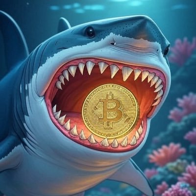 🇨🇦 Web3 Marketer || Data analyst || Memer || Community Builder || Crypto Investor