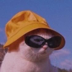 Ash's Profile Picture