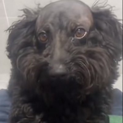 JacobRamir98782's profile picture. 