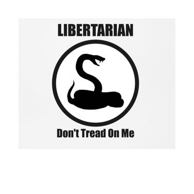 Libertariër
Als de geschiedenis ons iets leert is dat men niet leert van de geschiedenis