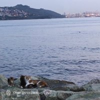 Burak Ç. (@cekin81971) Twitter profile photo