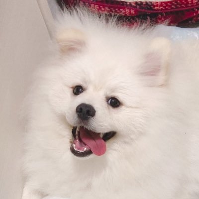 苦さんのプロフィール画像