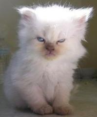I`m Here http://t.co/dwW9FxqQZQ PPC самый унылый Твиттер какой можно себе представить