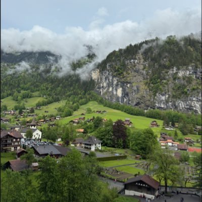 toastykitty1's profile picture. 