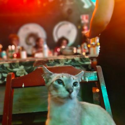 madson_ph's profile picture. 🏳️‍🌈