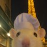 _navicstein's profile picture. AI, tech, startups. Random thoughts. Signal over noise. Opinions mine.