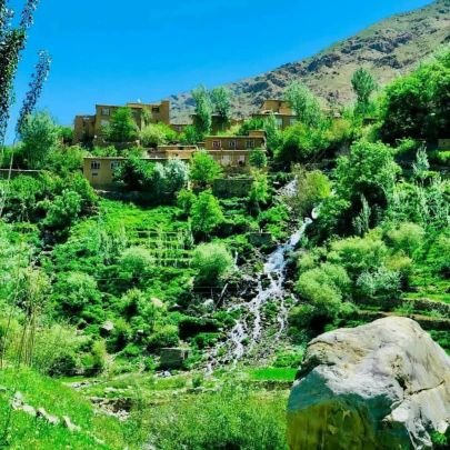 rohullahsangi's profile picture. تخنیکی