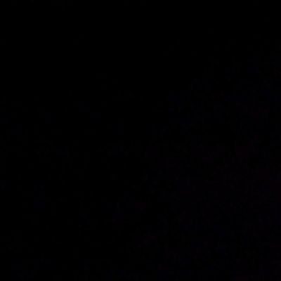 StrayWolf44's profile picture. スキンヘッドにピアスのGreenNote(@GN_idol2025)のオタク・最愛の推し→愛乃茉央(@mao_aino)・無言フォロー失礼します🙇