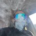 The Stoned Golfer (@cali_kush4z0) Twitter profile photo The Stoned Golfer (@cali_kush4z0) Twitter profile photo