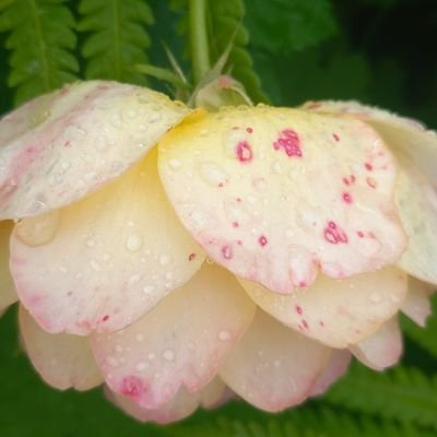 tati_in_dream's profile picture. З Україною в серці❤