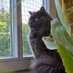 dasha ๐คoreo๐ค (@dasha_the_kitty) Twitter profile photo dasha ๐คoreo๐ค (@dasha_the_kitty) Twitter profile photo