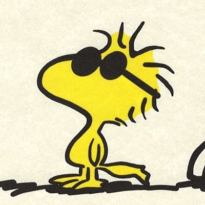 BirdySamuel's profile picture. I like smart, elegant and pretty people. In that specific order, yes. —Pin’li el kitabını okuyunuz, aksi hallerde müessesemiz sorumluluk kabul etmez. #açıkAdam