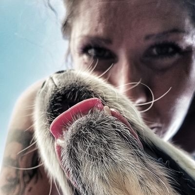 🎭Czasem jakiś komentarz parodystyczny.
🐶Często zdjęcie psa.
📸Generalnie amatorsko-aparat telefoniczny z funkcją mikroskopu.