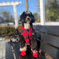 Naomi Nontje (@grace89487) 's Twitter Profile