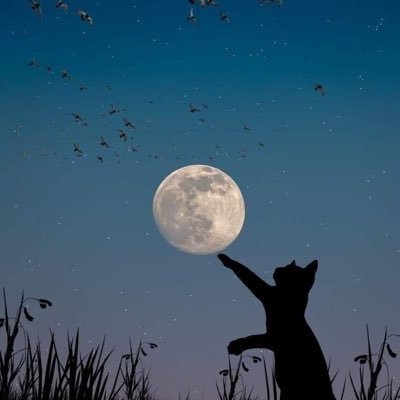 Kristal43684's profile picture. 