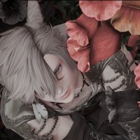 かな (@canar_xiv) 's Twitter Profile